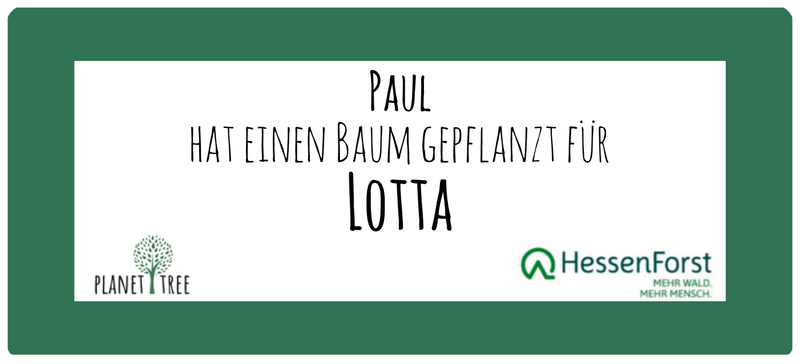 Herz aus Holz - Unikat