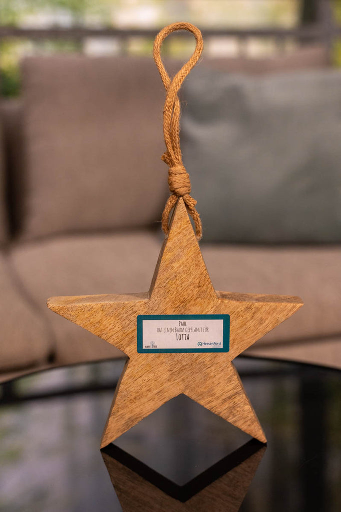 Personalisierter Stern aus Holz zum Aufhängen - Geschenk plus Baumspen