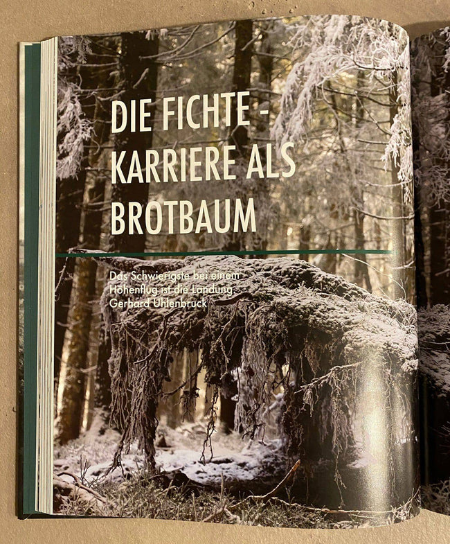 Generationenvertrag Wald - Verantwortung und Leidenschaft - Planet Tree