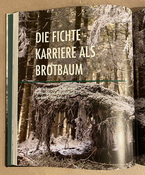 Generationenvertrag Wald - Verantwortung und Leidenschaft - Planet Tree