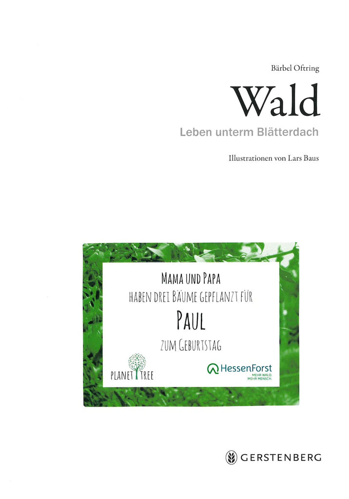 Der Baum- und Steinmarder - Waldwissen - Baumspenden - Stiftung