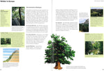 Wald: Leben unterm Blätterdach - Buch plus Baumspende in deutschem Landesforst