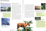 Wald: Leben unterm Blätterdach - Buch plus Baumspende in deutschem Landesforst