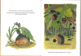 Ich will kein Eichhörnchen mehr sein - Buch plus Baumspende in deutschem Landesforst