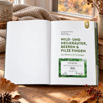 Wild- und Heilkräuter, Beeren & Pilze finden - Für Einsteiger