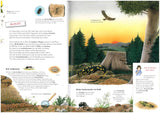 Komm mit durch den Wald - Tiere und Pflanzen im Jahreslauf - Buch plus Baumspende in deutschem Landesforst