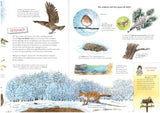 Komm mit durch den Wald - Tiere und Pflanzen im Jahreslauf - Buch plus Baumspende in deutschem Landesforst