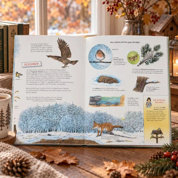 Komm mit durch den Wald - Tiere und Pflanzen im Jahreslauf
