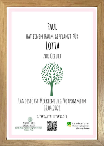 TEST Baumspende in deutschem Landesforst mit Zertifikat (rosa) - gerahmt in Naturholzrahmen